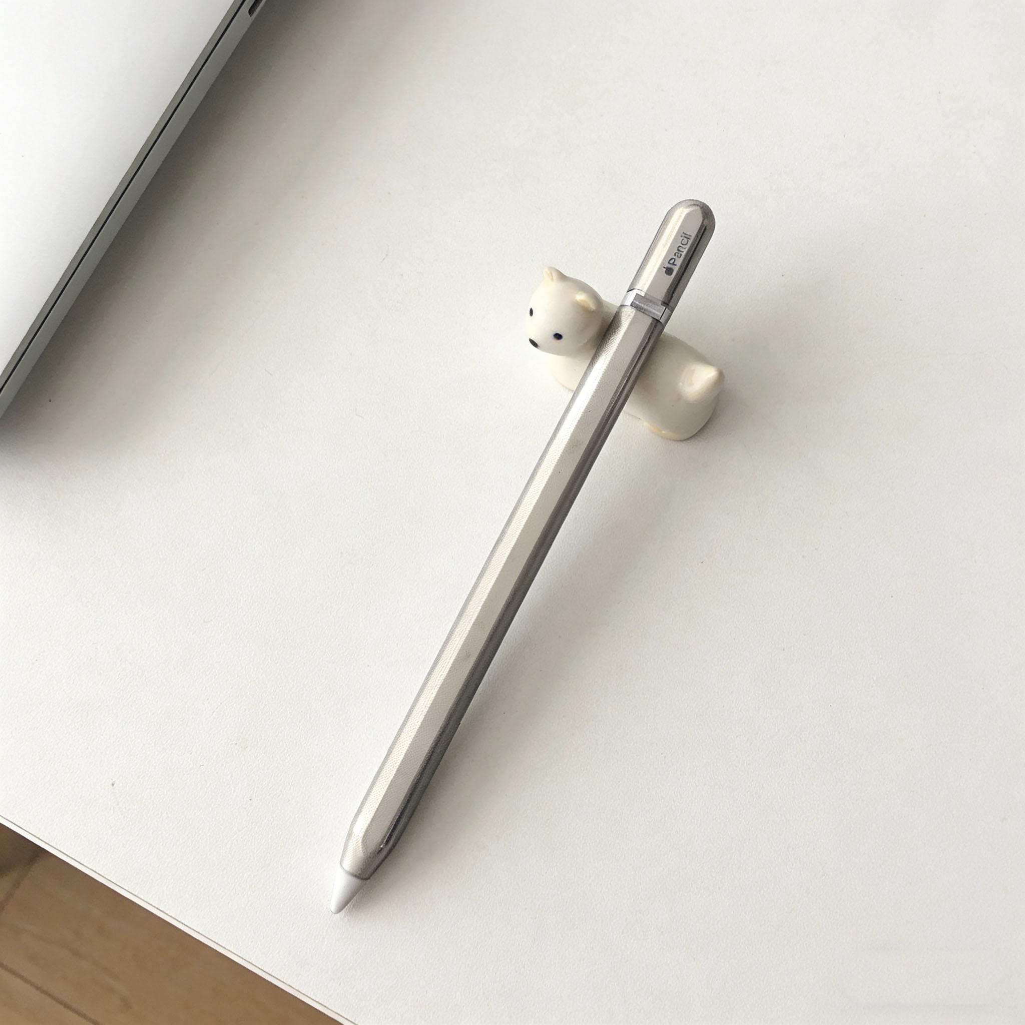 Kotak Pensil untuk Apple Penci - Iphone Tablet Accessories ulasan dan harga